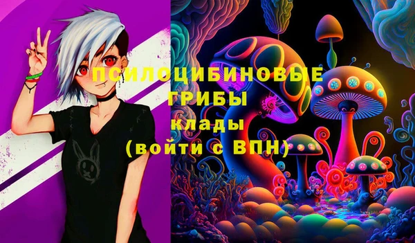 MDMA Бородино